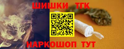 крисы Можга