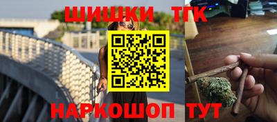 крисы Можга