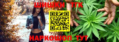 крисы Можга