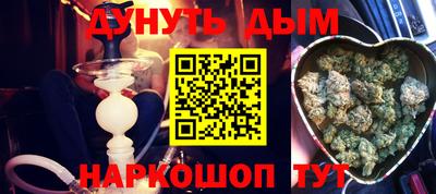 крисы Можга