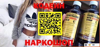 крисы Можга