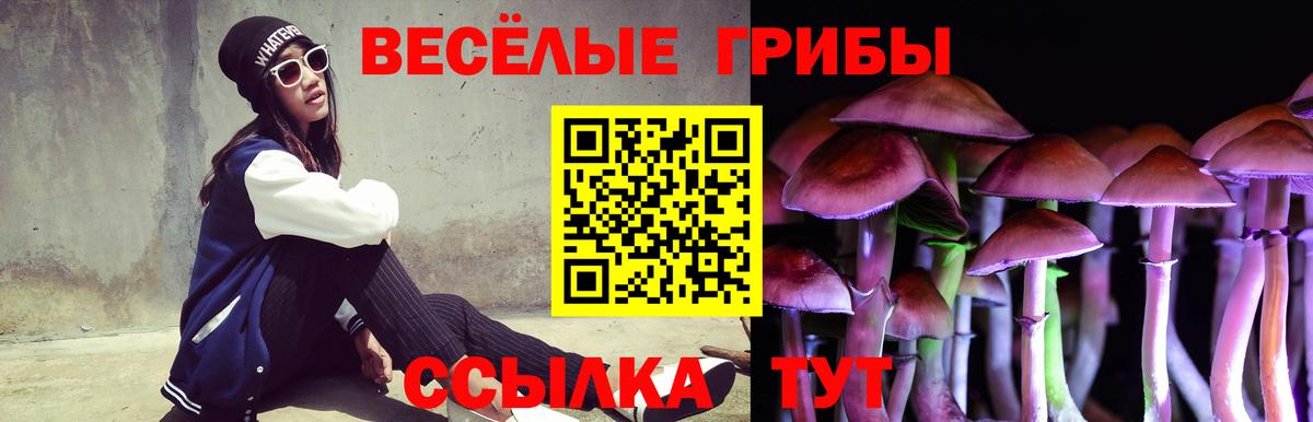 Псилоцибиновые грибы ЛСД  Вход с VPN  Славгород 