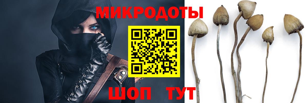 Псилоцибиновые грибы ЛСД Славгород